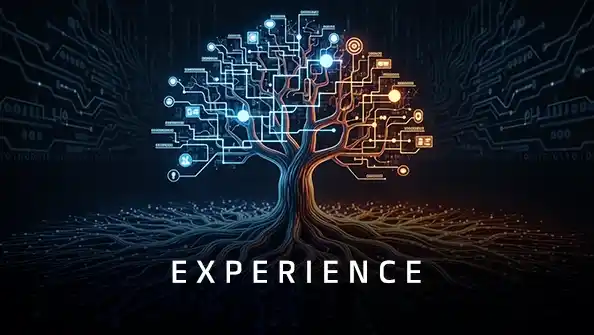 Our Values Experience